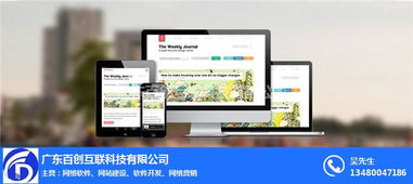 石碣镇网站建设首选 百创互联，专业计算机软硬件技术开发服务